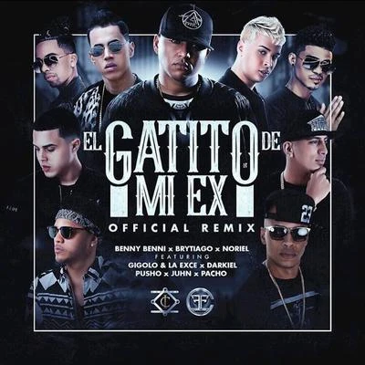 El Gatito de Mi Ex (Remix) 专辑 Benny Benni