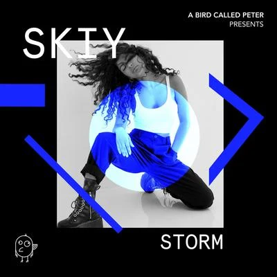 Storm 专辑 SKIY/Deeperlove