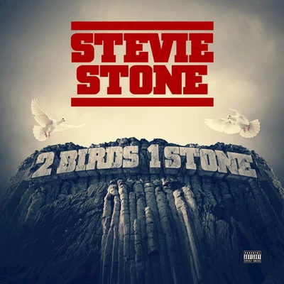 2 Birds 1 Stone (Deluxe Edition) 专辑 Stevie Stone