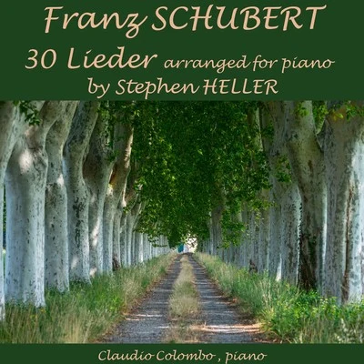 Schubert: 30 Lieder Arranged for Solo Piano 專輯 Claudio Colombo/Emmanuel Chabrier