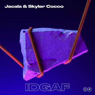 IDGAF 專輯 BigNSmall/Jacala/Dua Lipa