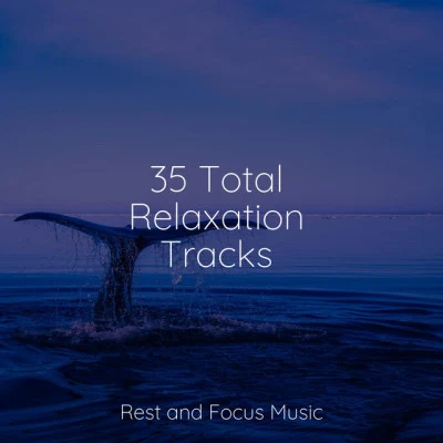 35 Total Relaxation Tracks 專輯 Musica Para Dormir y Sonidos de la Naturaleza/Calming Sounds/The Relaxation Principle