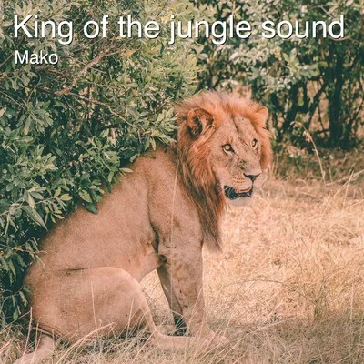 King of the Jungle Sound 专辑 MAKO