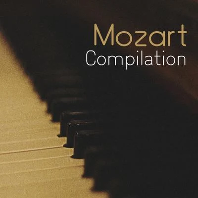 Mozart Compilation 专辑 Villa Musica Ensemble/Classical Music Songs/Leonard Hokanson