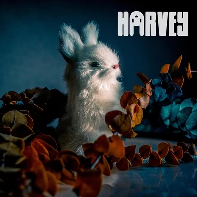 Animals 專輯 Harvey/JADAD/Marco Tegui/Julien San Francisco/Diego Moreno