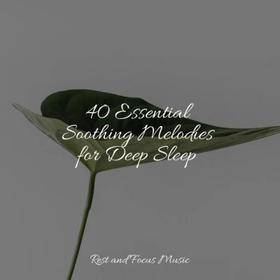 40 Essential Soothing Melodies for Deep Sleep 專輯 Deep Sleep Brown Noise/Vacuum Cleaner White Noise/Tinnitus