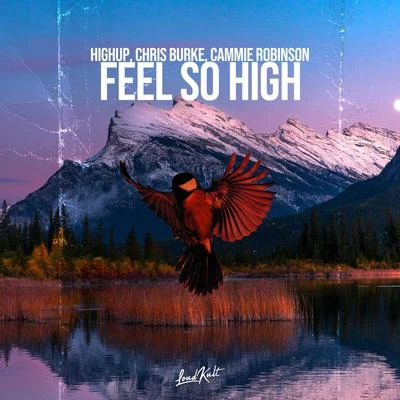 Feel so High 专辑 B Jones/Cammie Robinson