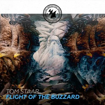 Flight Of The Buzzard 專輯 Tom Staar