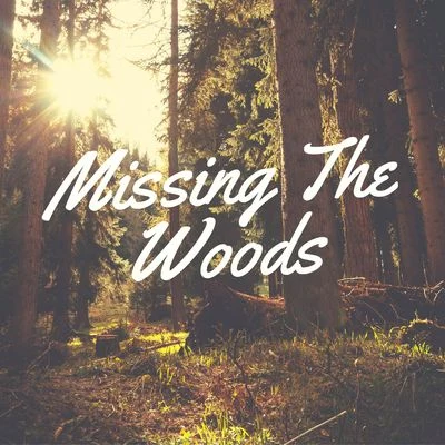 Missing the Woods 专辑 Rain Sounds