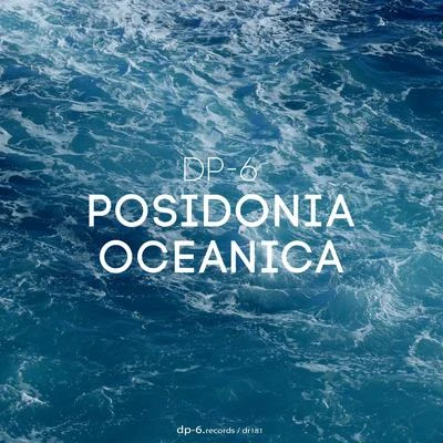 Posidonia Oceanica 專輯 DP-6