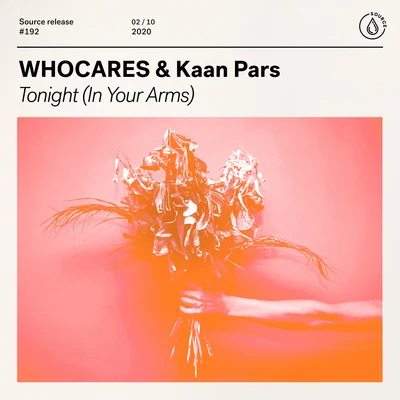 Tonight (In Your Arms) 专辑 Whocares/Pillows