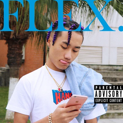 FLEX 专辑 YOUNG13DBABY