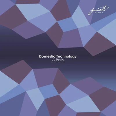 A Paris 專輯 Domestic Technology