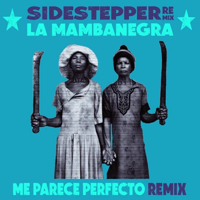 Me parece perfecto (Sidestepper Remix) 專輯 Sidestepper