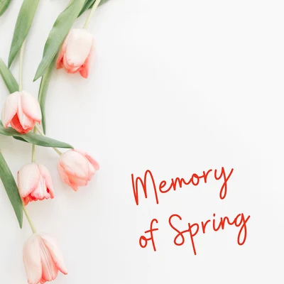 Memory of Spring - 1 Hour of Wonderful Natural Melodies That Will Relax You and Let You Forget About Problems 專輯 Meditation