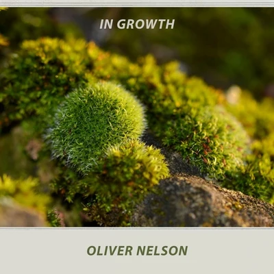 In Growth 專輯 Oliver Nelson & Lem Winchester