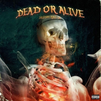 Dead or Alive 专辑 Slosh Mafia/$teven Cannon