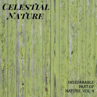 Celestial Nature - Inseparable Part of Nature, Vol. 9 專輯 White Noise Meditation/Relax Ambience