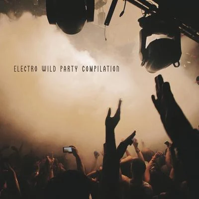 Electro Wild Party Compilation - Rhythmic Chillout Music Perfect for a House Party 专辑 Evening Chill Out Music Academy