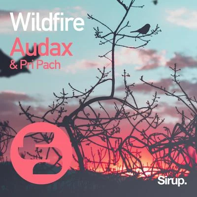 Wildfire 專輯 Audax