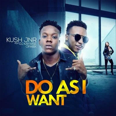 Do as I Want (feat. DJ Kaywise & Opa6ix) 專輯 Double Dee/Dj Kaywise/Spencer