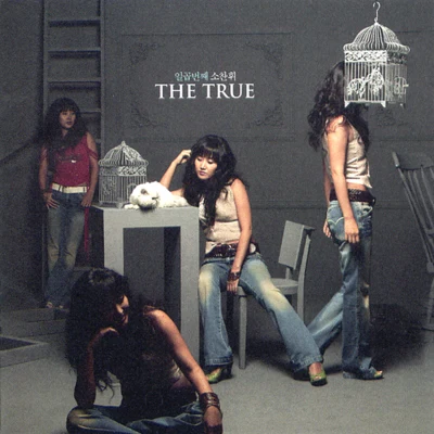 蘇燦輝 The True