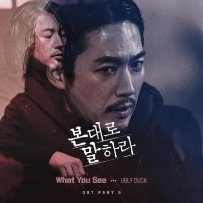 Take OneUgly DuckDJ DopshJerry.K 본 대로 말하라 OST Part.5