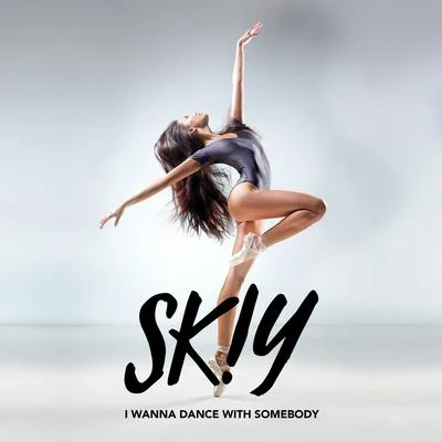 I Wanna Dance with Somebody (Who Loves Me) 专辑 SKIY/Bram Fidder