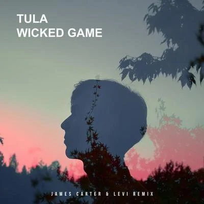 Wicked Game(James Carter & Levi Remix ) 專輯 James Carter