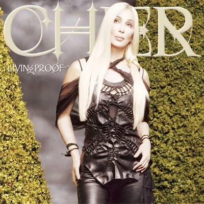 Living Proof 專輯 Cher