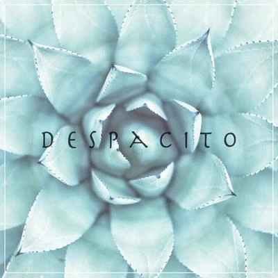 Despacito 專輯 Madilyn Bailey