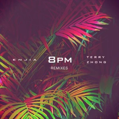 8PM Remix EP 專輯 遠山明孝/Terry Zhong/塞壬唱片-MSR