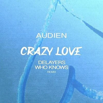 Crazy Love (Delayers x Who Knows Remix) 專輯 Steve Powers/Delayers/Thomas Feelman/Nari & Milani