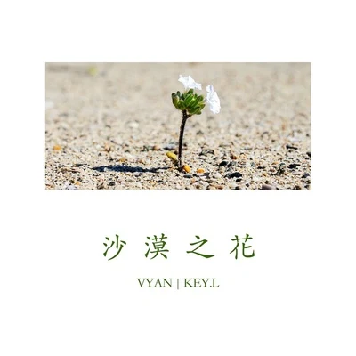 沙漠之花 (feat.Key.L) 專輯 Vyan/ARY