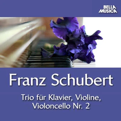 Schubert: Trio No. 2 für Klavier, Violine u. Violoncello 专辑 Robert Conway/Paul Schoenfield/Debra Fayroian/Juliette Kang/Henry Meyer