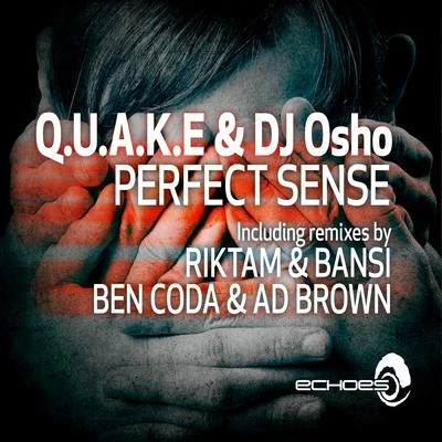 Q.U.A.K.E Perfect Sense