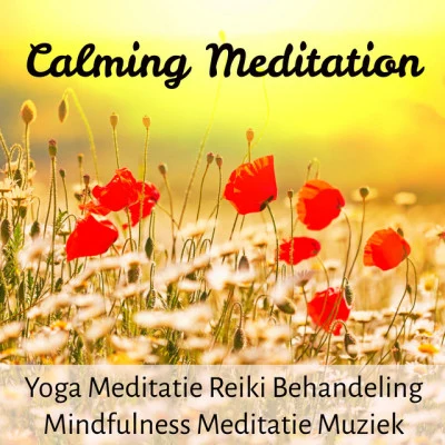 Calming Meditation - Yoga Meditatie Reiki Behandeling Mindfulness Meditatie Muziek voor Stress Verminderen Welzijn met Natuur Instrumentale Geluiden 專輯 Nature Music Pregnancy Academy/Ambient Nature Sounds/Relaxed Piano Music