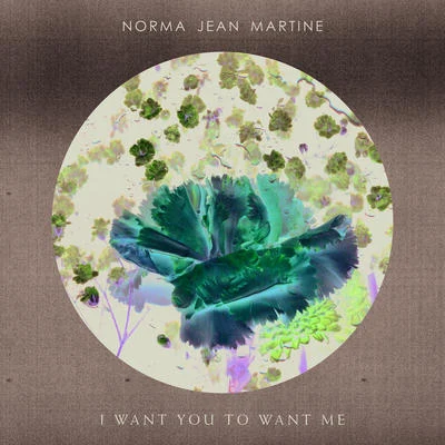 Norma Jean MartinePablo Nouvelle I Want You To Want Me