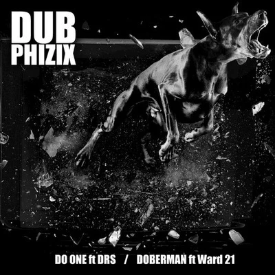 Do One (feat. DRS) 專輯 Dub Phizix