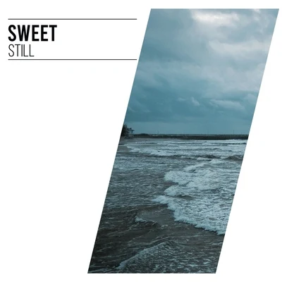 #Sweet Still 專輯 Rainforest Ambience