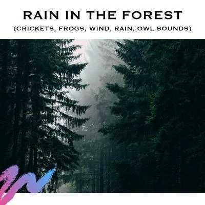 Rain in the Forest (Crickets, Frogs, Wind, Rain, Owl Sounds) 专辑 Loopable Radiance/Deep Sleep Systems/Baby Songs Academy