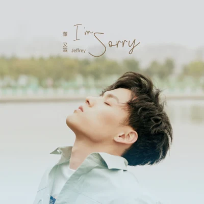 I&#x27;m Sorry 专辑 董又霖 (Jeffrey)