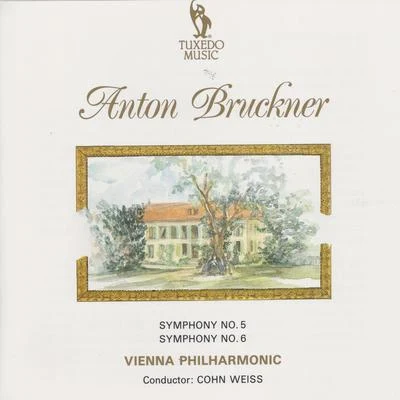 Bruckner: Symphonies No. 5 & No. 6 專輯 Anton Bruckner