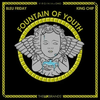 Fountain of Youth 专辑 Hit Boy/King Chip/Audio Push/Ty Dolla $ign/Travi$ Scott