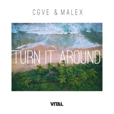 Turn It Around 专辑 CGVE