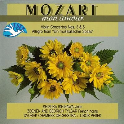 Mozart: Concertos for Violin and Orchestra 专辑 František Host/Petr Škvor/Dvořák Chamber Orchestra