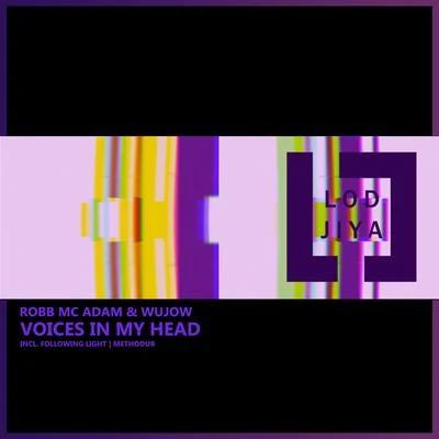 Voices in My Head 專輯 Jaydee Electronica/Following Light