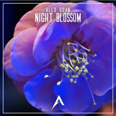 Night Blossom 专辑 Alex Doan/Nathan Brumley/Edeema