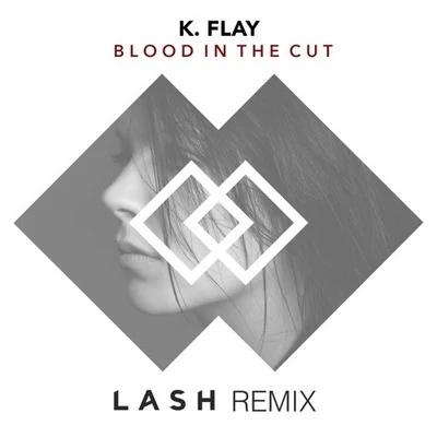 Blood In The Cut (Lash Remix) 专辑 Lash