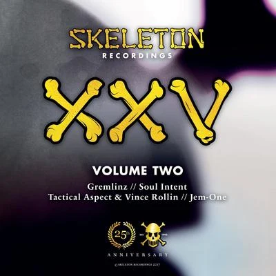 Vince Rollin Skeleton XXV Project Volume Two